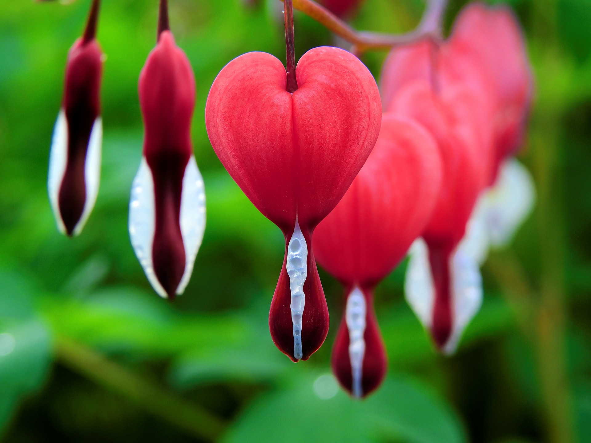Allein am Valentinstag