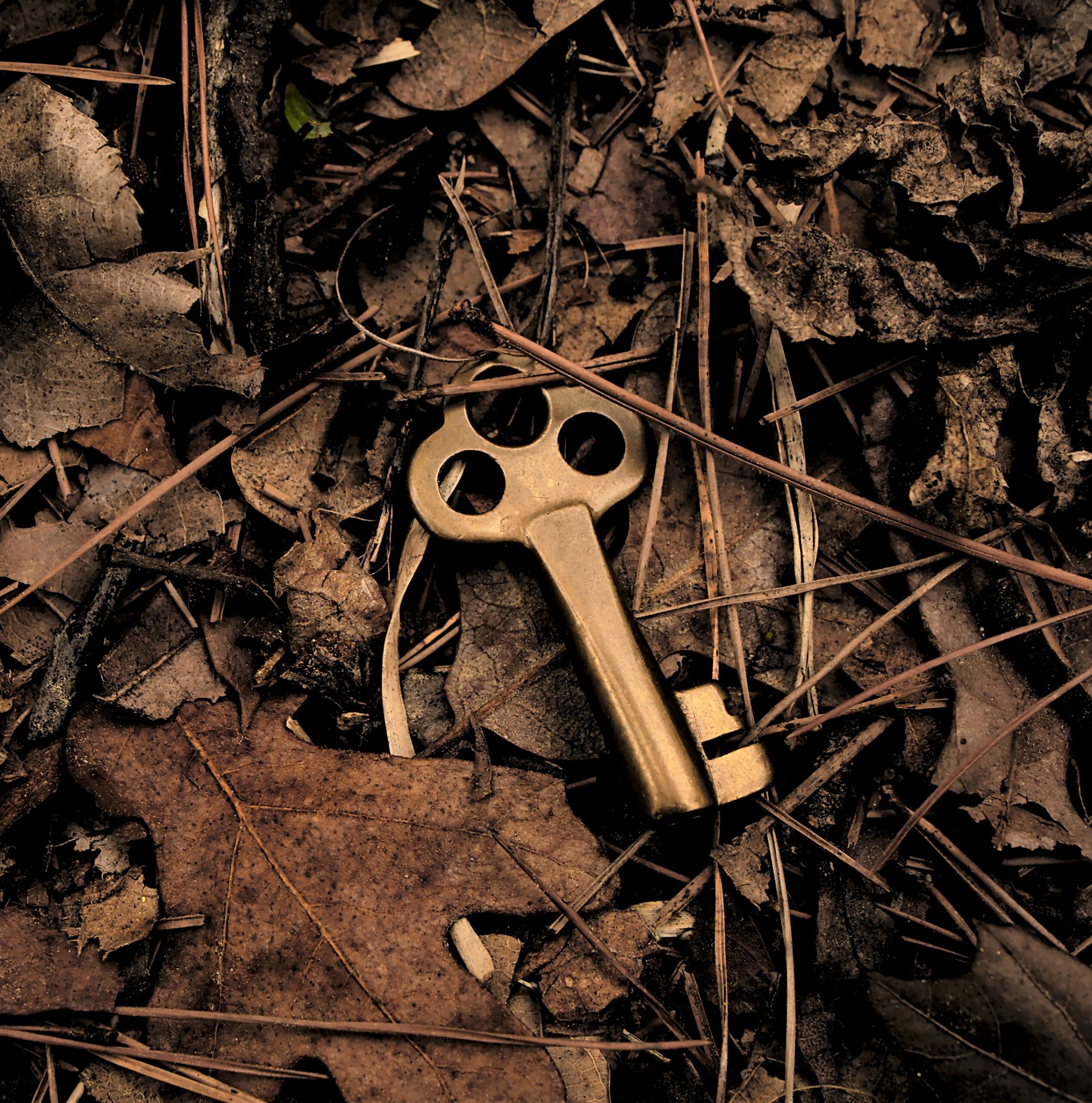Ich hab hier was entdeckt (Teil 5) | Astrid